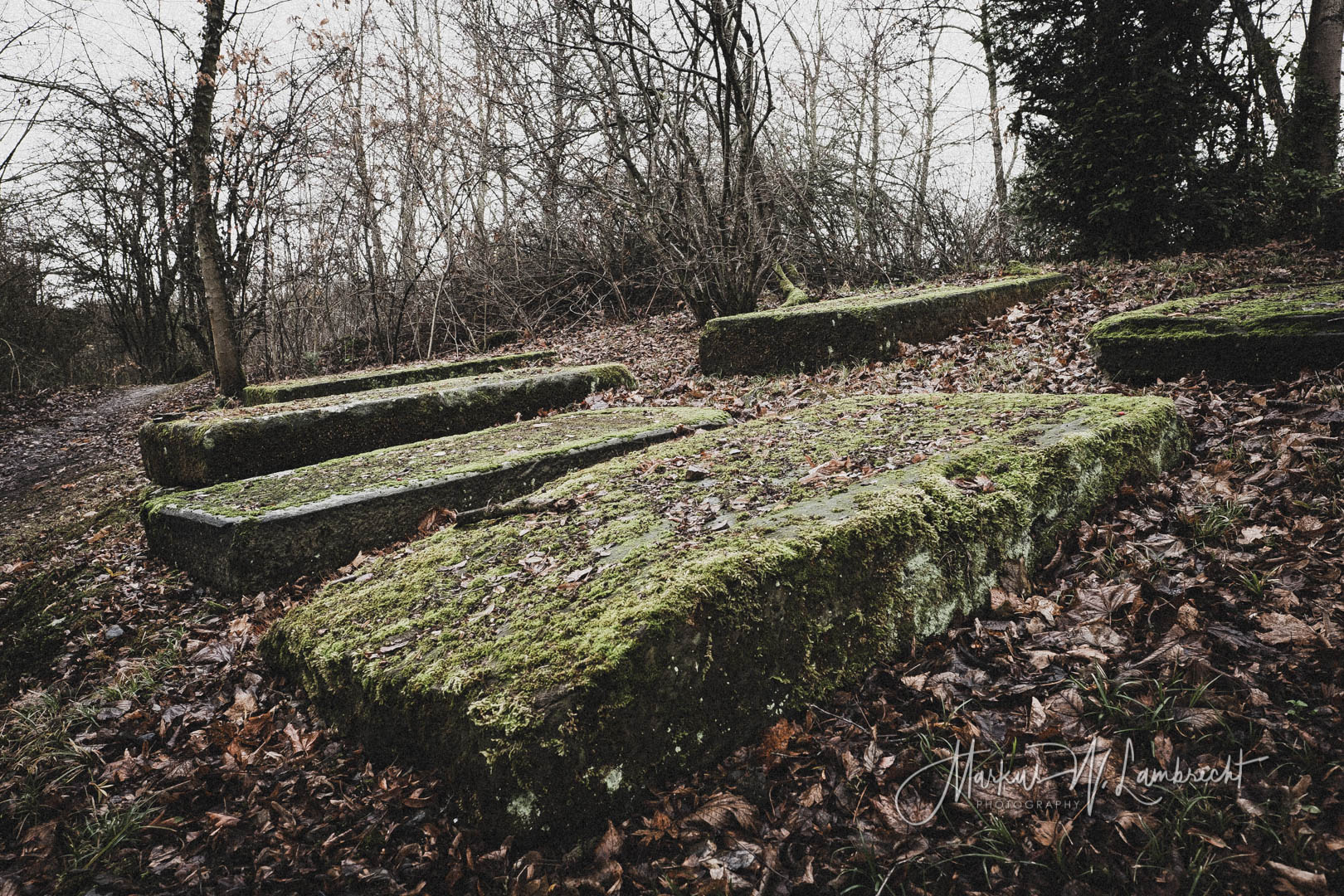 Bovenden, Jüdischer Friedhof